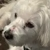 edwin.carreon24 - @edwin.carreon24 - TikTok