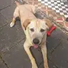 Edwina Carroll - @edwina.carroll - TikTok