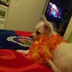 Edwin Carvente - @edwinofpie - Instagram