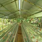 Edwin Casas - Facebook