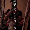 EdwinCasas - @edwinbcasas - TikTok