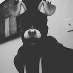 Edwin Casey - @solo_casey - Instagram
