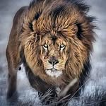 Edwin Casey - @edwin.casey.31 - Instagram