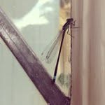 Edwin Cates - @tandelman - Instagram
