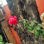 edwin Cazares - @cazares_edwin - Instagram