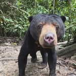 @edwincecil29 - Instagram