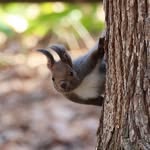 @edwincecil62 - Instagram