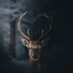 Edwincecil - @edwincecil05 - Instagram