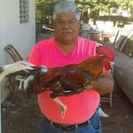 Edwin Cedeño - @edwin.cedeno.566 - Instagram