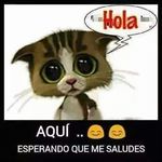 Edwin Rommel Flores Cerritos - @edwinflorescerritos - Instagram