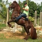 Edwin Manuel Montesino Cespedes - @edwinmanuelmontesino9 - Instagram