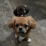 edwin chapin - @edwin.chapin29 - Instagram