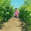Edwin Chapín - @edwin.chapn3 - TikTok