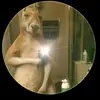 cisneros Edwin cisneros - @cisnerosedwin - TikTok
