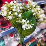 @edwin_clayton8 - Instagram
