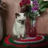 Edwin Coner - @edwin.coner - TikTok