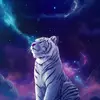 Edwin Contreras - @edwin.contreras023 - TikTok