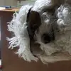 Edwin correa - @edwin.correa724 - TikTok
