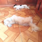 Edwin Day - Facebook