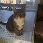 Edwin Day - @edwin.day.37 - Instagram