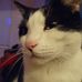 Edwin Dickinson - Facebook