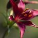 Edwin Dietrich - Facebook
