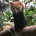 Edwin Dong - Facebook