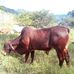 Edwin Dubon - Facebook