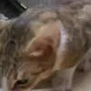 Xander  dacer - @edwin.ducay0 - TikTok