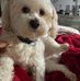 Edwin Dudley - Facebook