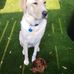 Edwin Duffy - Facebook