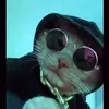 EdwinDunn - @mozelqiok1r - TikTok