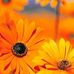 Edwin Eastman - Facebook