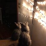 John Eckert - @johnedwineckert - Instagram