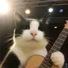 EL🅰️N - @edwinelandt - TikTok