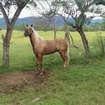 Edwin Elias Gomez - @gomezedwinelias - Instagram