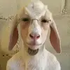 Edwin - @edwinellerrr - TikTok