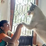 Edwin Elliot Pasaribu - @edwinelliotpasaribu - Instagram