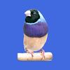 edwin Emmerik - @edwin.emmerik - TikTok
