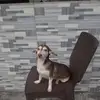 Edwin Empleo - @edwin.empleo - TikTok