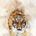 Enoss Edwin - Facebook