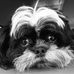 Ed Ashenbrenner - Facebook