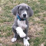 @edwin_espinosa_ - Instagram