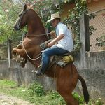 Edwin Esteban - @edwin.esteban.7549 - Instagram