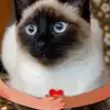 Edwin Eugenio5181 - @edwineugenio5181 - TikTok