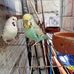 Edwin Eugenio - Facebook
