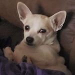 Edwin Everett - @randyceverett083 - Instagram