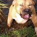 Edwin Evertsen - Facebook