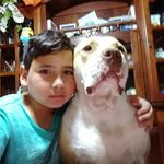 EDWIN EZEQUIEL - @edwinneezequiel - Instagram