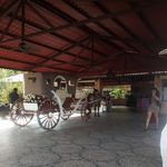 Edwin Falcón - @edwin.falcon.965 - Instagram